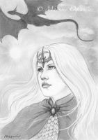 A Dragon\'s Flight